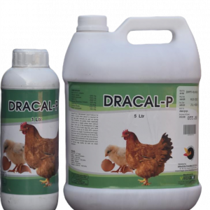 dracal P