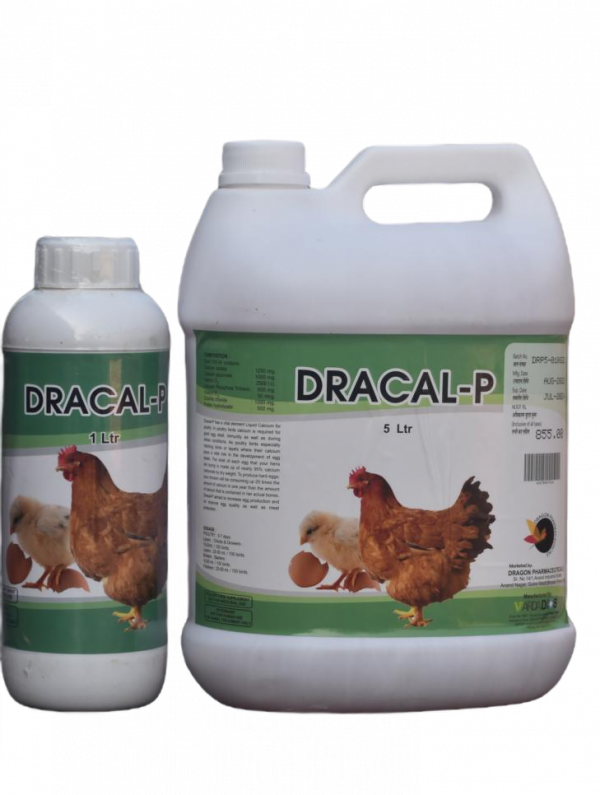 dracal P