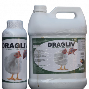 Dragliv