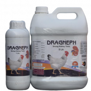 Dragneph Kidney Tonic