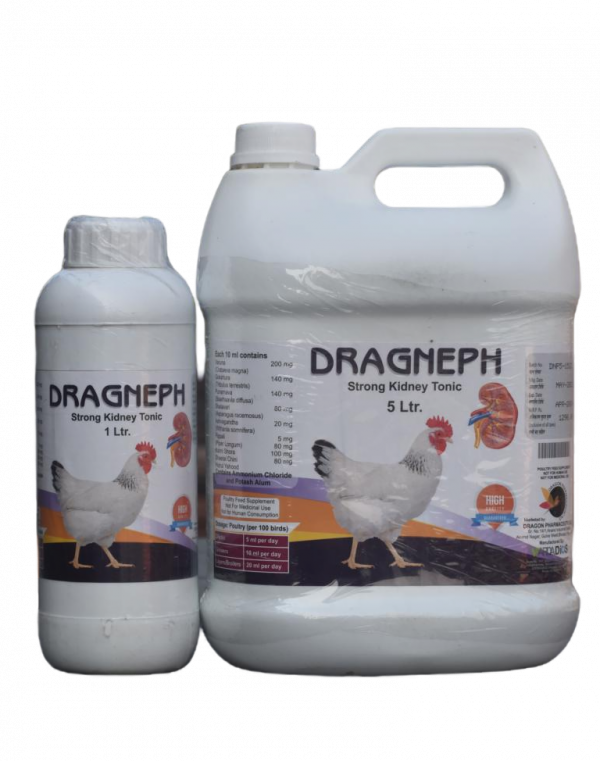 Dragneph Kidney Tonic