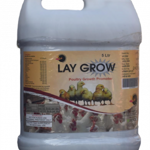 Lay Grow