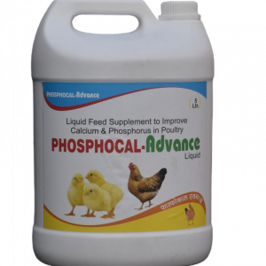 Phosphocal Advance