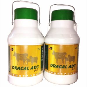 Dracal AD3 Gold